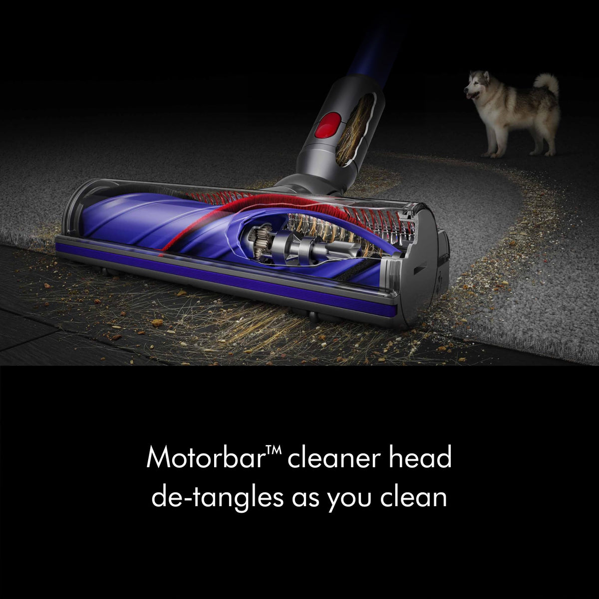 V11 Plus (Renewed Premium) by Dyson – 0.2 gallons, Nickel/Purple, Model 448712-02