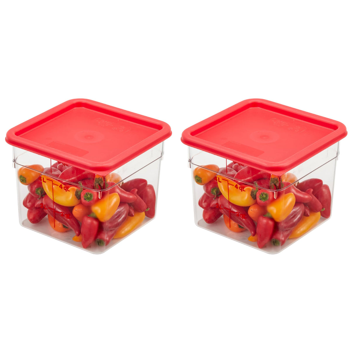 Cambro Clear / 6 QT + Lid / 1 Container Sets
