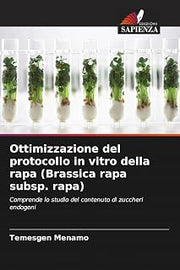 Ottimizzazione del protocollo in vitro della rapa (Brassica rapa subsp. rapa) (Italian Edition)