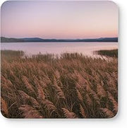 Set of 4 Premium Coasters - Lakeside Meadow with Tall Reeds Swaying Design