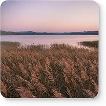 Set of 4 Premium Coasters - Lakeside Meadow with Tall Reeds Swaying Design