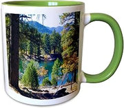 Fall at the lake in the Dixie National 15oz Two-Tone Green Mug
