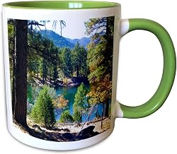 Fall at the lake in the Dixie National 15oz Two-Tone Green Mug