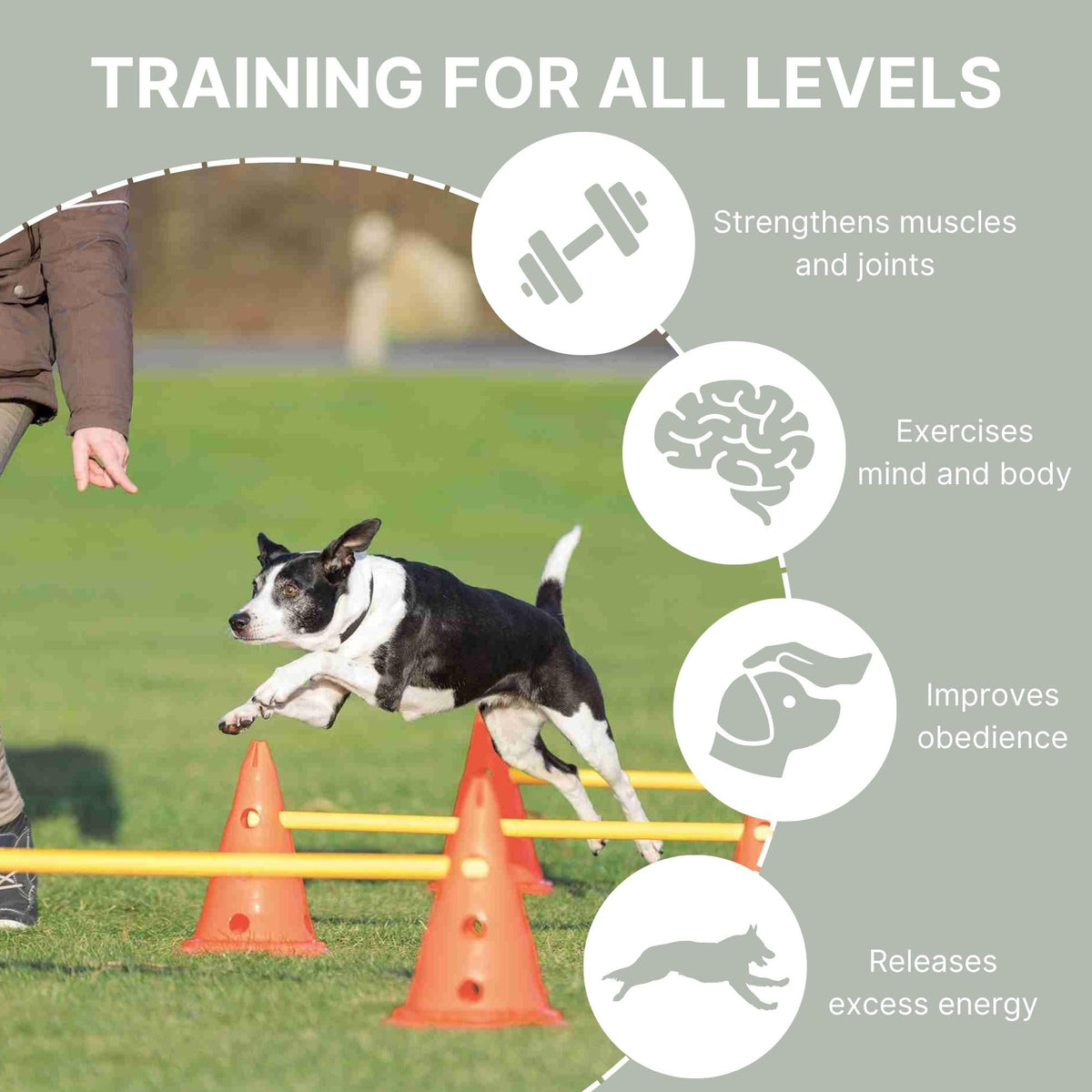 Dog Agility Hurdle Cone Set by TRIXIE – Rubber, Orange/Yellow, Model 32091