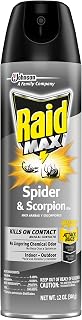 Raid SPIDER & SCORPION