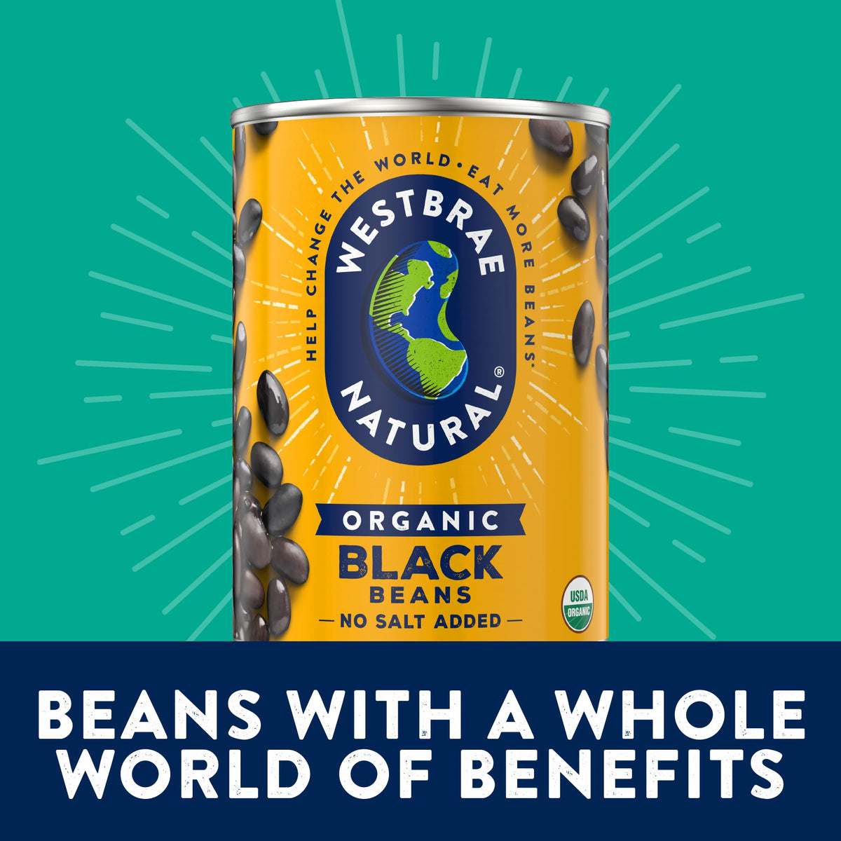 Westbrae Natural Organic Black Beans / 15 Ounce (Pack of 4) / 3.75 LBR (Pack of 1) Black Beans