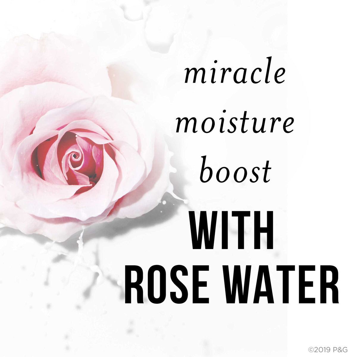 Nutrient Blends Sulfate Free Miracle Moisture Boost with Rose Water Shampoo by Pantene – 14.9 Fl Oz (Pack of 1)