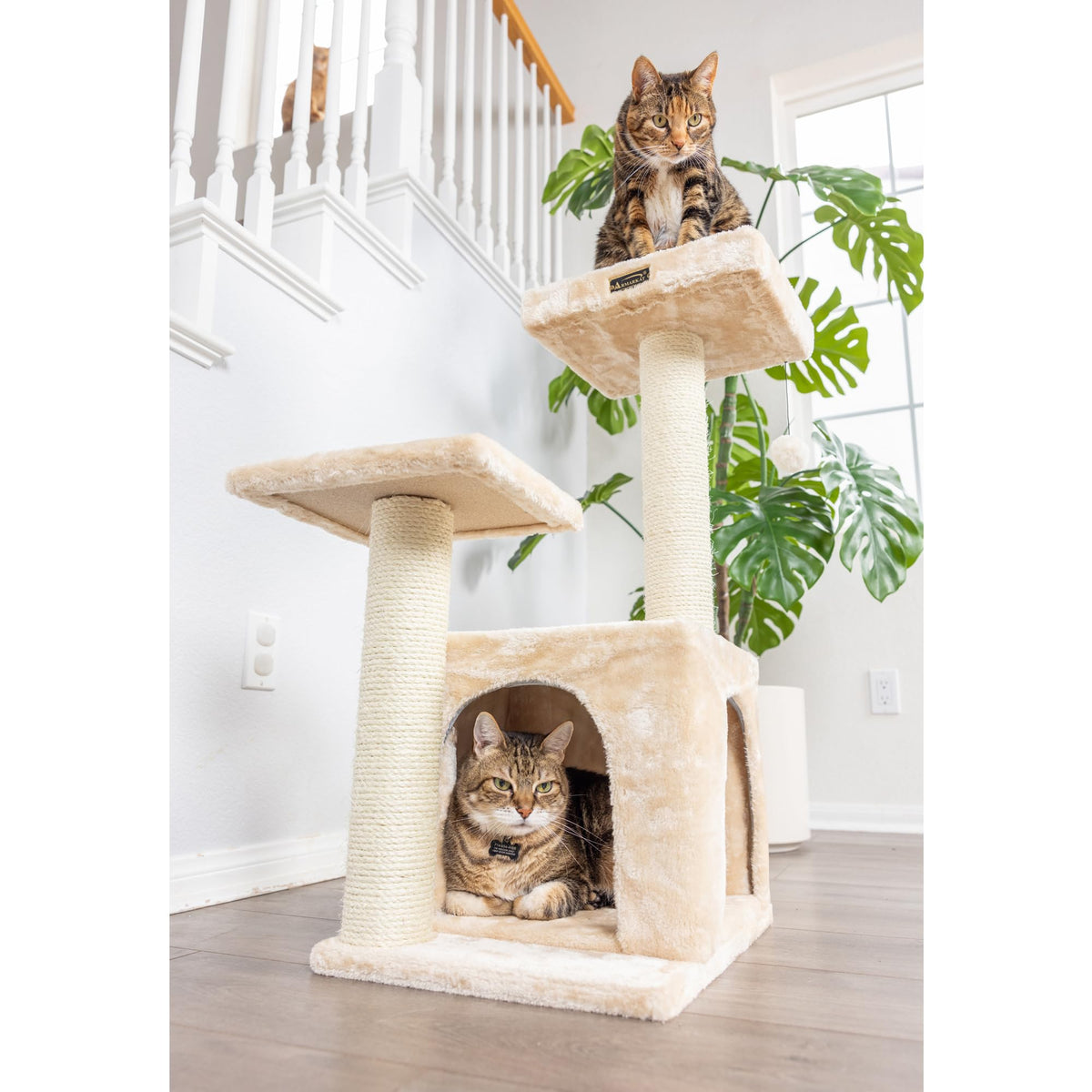 Classic Real Wood Cat Tree by Armarkat – 22"L X 17"W X 32"H, Engineered Wood, Beige, Model A3207