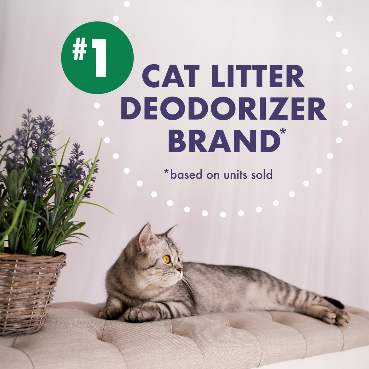 Forever Fresh Cat Litter Deodorizer by ARM & HAMMER – 30 oz (Pack of 6), 30.0 ounces, Baking Soda, Purple