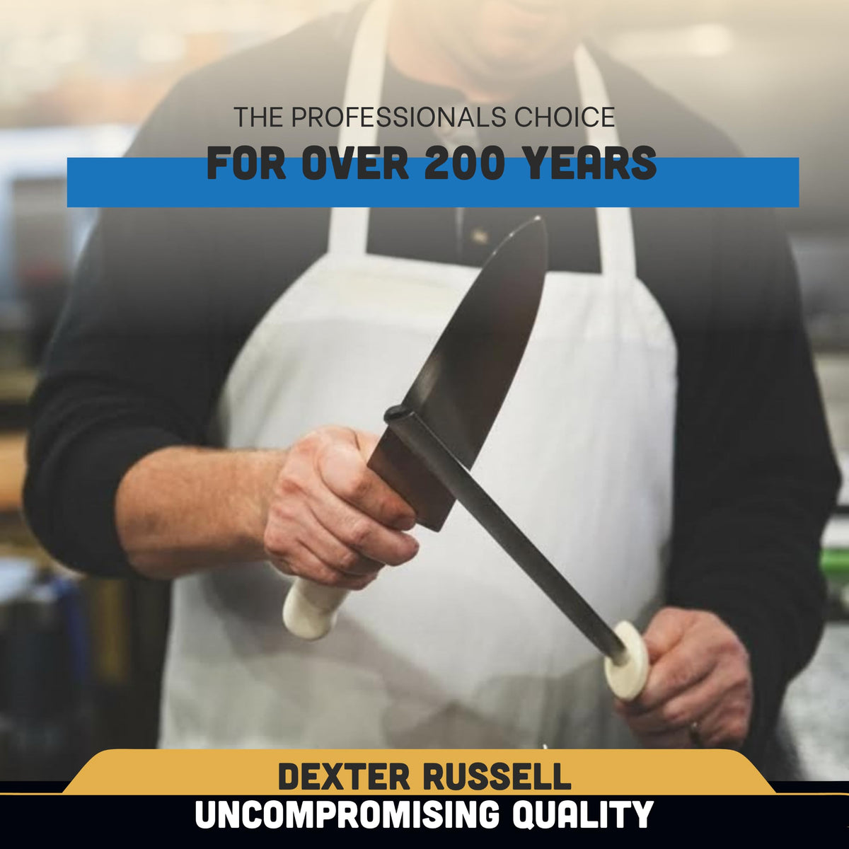 Russell DDS-12PCP Diamond Sharpener by Dexter – 12", Steel, Silver/White, Model DDS-12-PCP