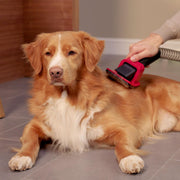 Pet Grooming kit for Your V16 Piston Animal Cordless Vacuum by Dyson – 0 gallons, Black, Model 974562-01