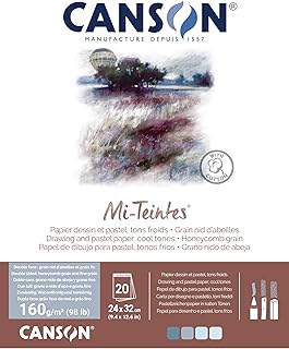 Canson Mi-Teintes Coloured Drawing 160gsm 24x32cm Paper Pack, Double Sided: Honeycomb & Fine Grain, Pad Glued Short Side, 4 Cool Tones, 20 Sheets, for Professional Artists & Illustrators