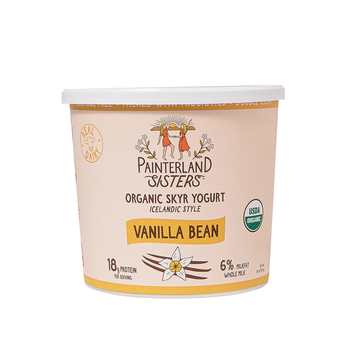Yogurt Skyr Vanilla Bean Organic, 24 Ounce by Painterland Sisters – 24 OZ, Model 0850036606079