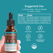 Wellness USDA Lion's Mane Liquid Drops by Grama – 18 Fl Oz (Pack of 1)