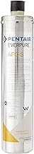 Pentair Everpure Quick-ConnectFilter,2.5gpm,31/4inDia EV969231-1 Each