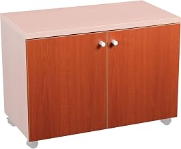 Global Industrial Door Kit for 30" Storage Cabinet