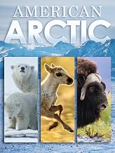 American Arctic