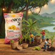 Organic Plantain Chips by Barnana – 2 Ounce (Pack of 6), Pack of 6
