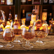 DP094 Brandy Cognac Glasses by Arcoroc – 6 Count (Pack of 1), 250.0 milliliters, Glass, Transparent, Pack of 6