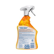 Lysol 32 Fl Oz (Pack of 2) / Mango and Hibiscus / Mango All-Purpose Cleaners
