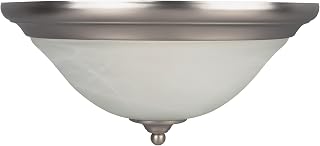 Canarm LTD. IWL372A14BPT Michael 1 Bulb Wall Light, Brushed Pewter