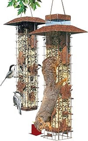 Perky-Pet Squirrel Be Gone Caged Bird Feeder [Set of 2]