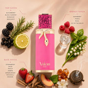 Vulcan Baie EDP 100ml by French Avenue – 3.4 Fl Oz (Pack of 1), nO COLOR, Model 6298042000926