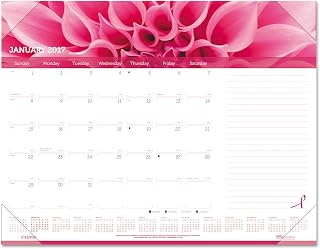 Rediform Pink Ribbon Monthly Desk Pad Calendar (C1832PNK)