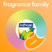 Antibacterial Liquid Hand Soap by Softsoap – 50 Fl Oz (Pack of 2), Transparente, Pack of 2, Model US05259A