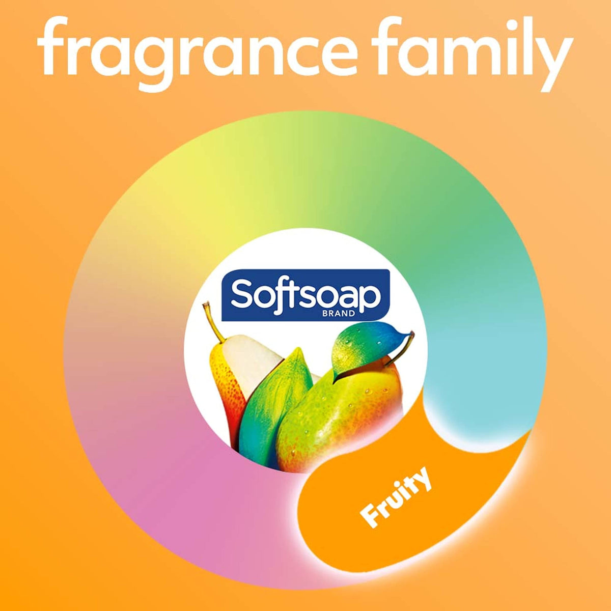 Antibacterial Liquid Hand Soap by Softsoap – 50 Fl Oz (Pack of 2), Transparente, Pack of 2, Model US05259A