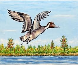PM394 Pintail Duck Place Mat - Set of 4