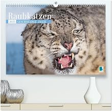 Predatory Cats: Soft Hunters (High-Quality Premium Wall Calendar 2026 DIN A2 Landscape), Art Print in High Gloss: Predators: Elegant, Strong and Dangerous