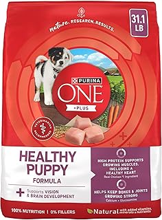 Purina ONE Plus Healthy Puppy Dry Food, Chicken, 31.1 lb Bag
