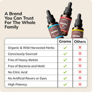 Wellness USDA Lion's Mane Liquid Drops by Grama – 18 Fl Oz (Pack of 1)