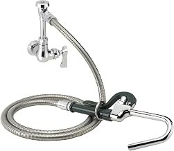 Krowne Single Wall Mount Pot Filler, 20-101L