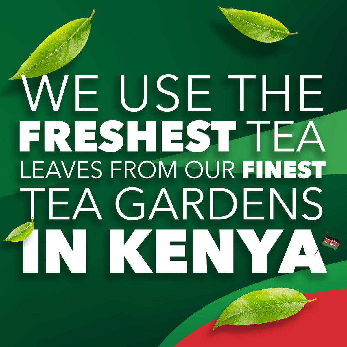 Black Tea Bags by PG Tips – 3.3 in x 2.8 in x 5.6 in, No Color, Pack of 2124, Model PGT00468