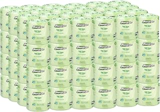 Marcal Pro Toilet Paper, 100% Recycled - 2-Ply, White, 500 Soft & Absorbent Sheets per Roll, 96 Rolls per Case - Green Seal Certified, Bulk Office Bath Tissue 05002