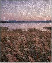 Cozy Crushed Velvet Blanket - Lakeside Meadow with Tall Reeds Swaying - 50x60 in