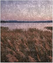 Cozy Crushed Velvet Blanket - Lakeside Meadow with Tall Reeds Swaying - 50x60 in