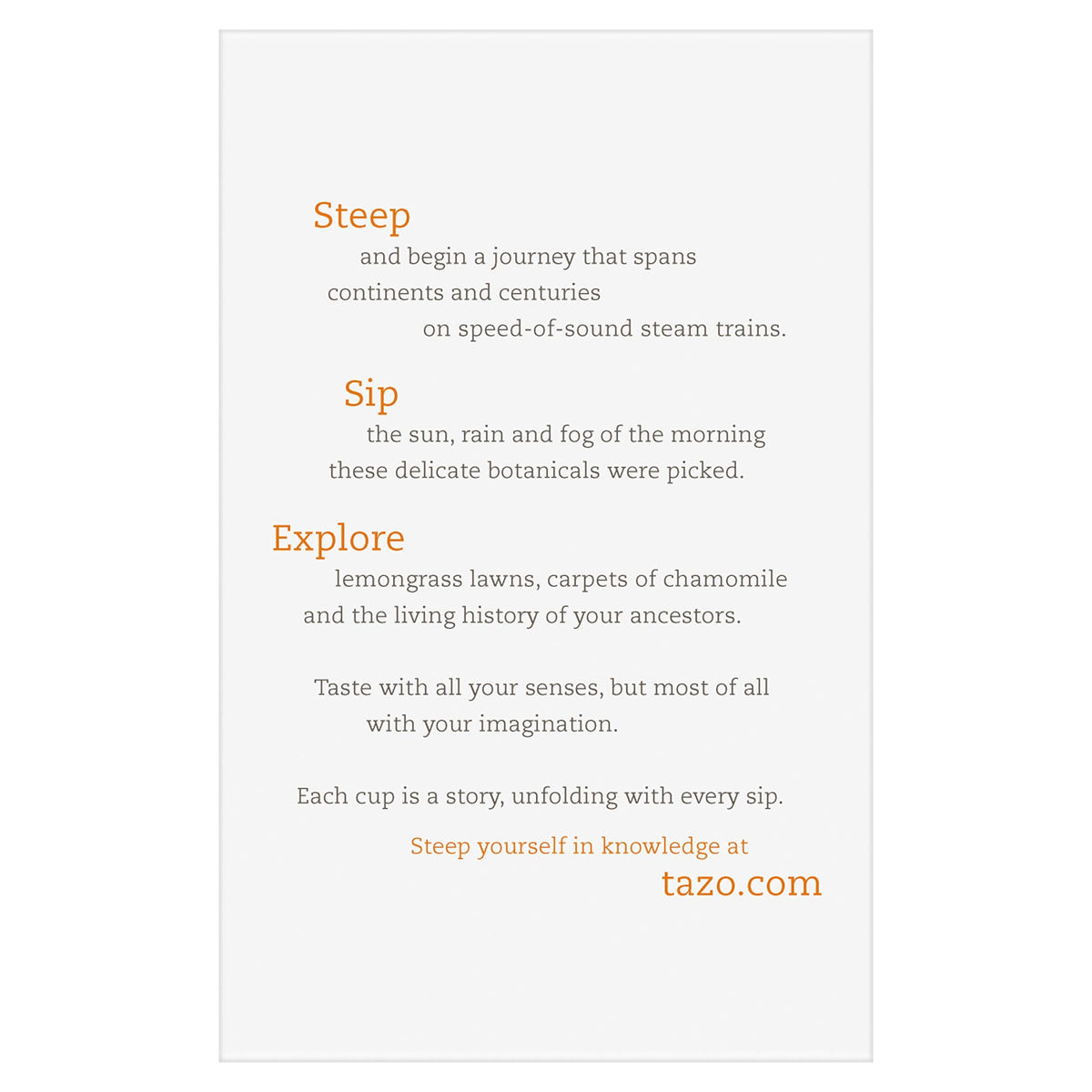 Chai Pumpkin Spice Tea 20 ct (pack of 1) by TAZO – 20 Count (Pack of 1)