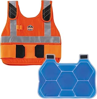 Ergodyne unisex adult + Premium FR Phase Change Cooling Vest Packs, Orange, Small-Medium US