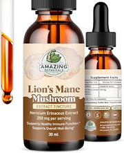 Lion’s Mane Mushroom Extract Tincture – 250mg – Dual Extracted Nootropic Supplement – Liquid Hericium Erinaceus for Focus, Memory & Brain Support, Vegan, Non-GMO, Sugar & Alcohol-Free Drops – 1oz