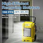 ALORAIR Light Yellow / Storm Ultra / Storm Ultra Yellow NO WIFI Dehumidifiers