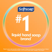 Softsoap Sparkling Pear / 11.25 Fl Oz (Pack of 6) / Green Hand Wash