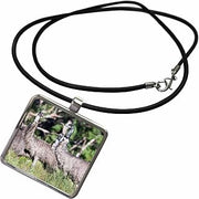 3dRose Emu wildlife, Victoria, Australia - AU01 MZW0312 - Martin Zwick Necklace With Rectangle Pendant