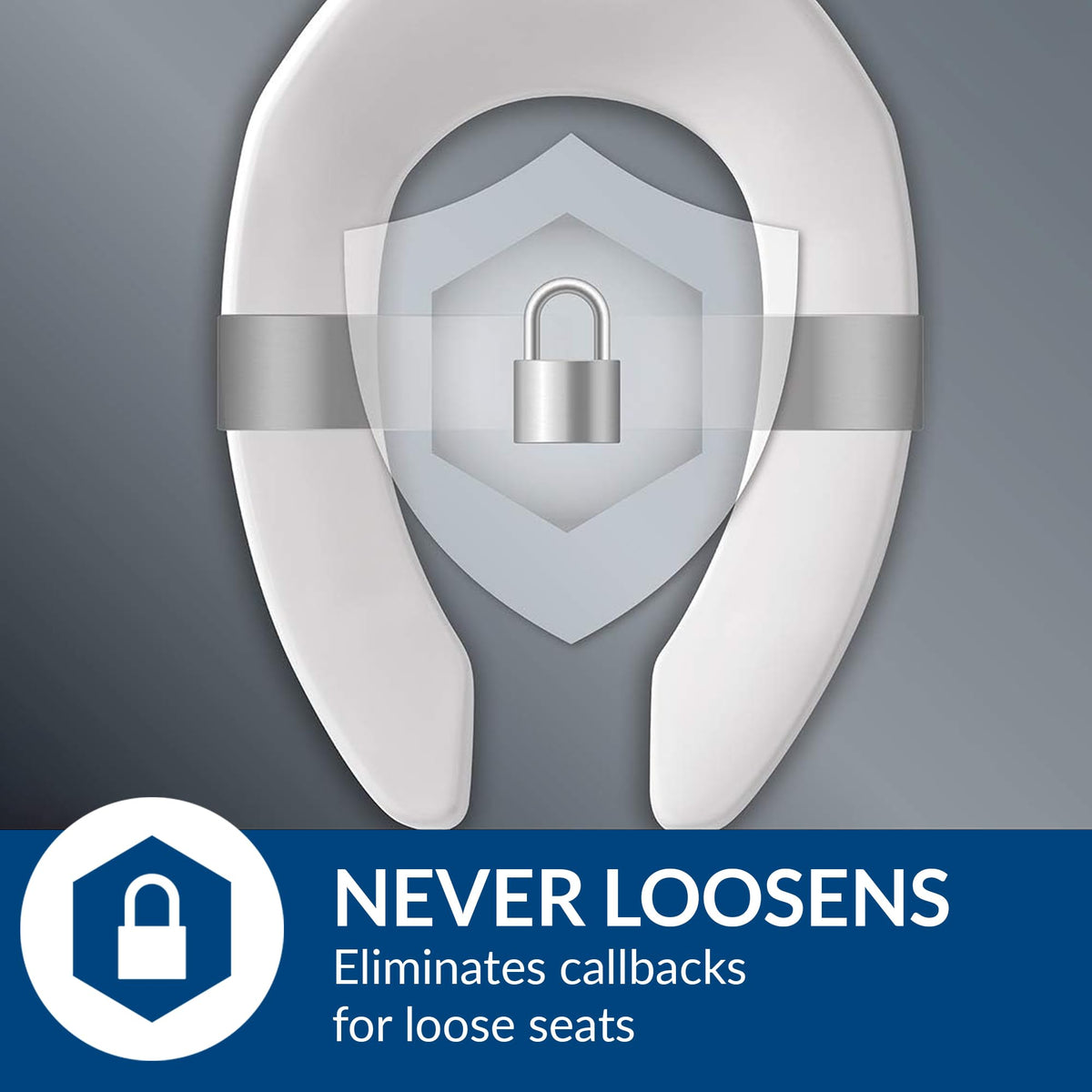 Bemis Black / Elongated (Pack of 2) / ELONGATED Toilet Seats