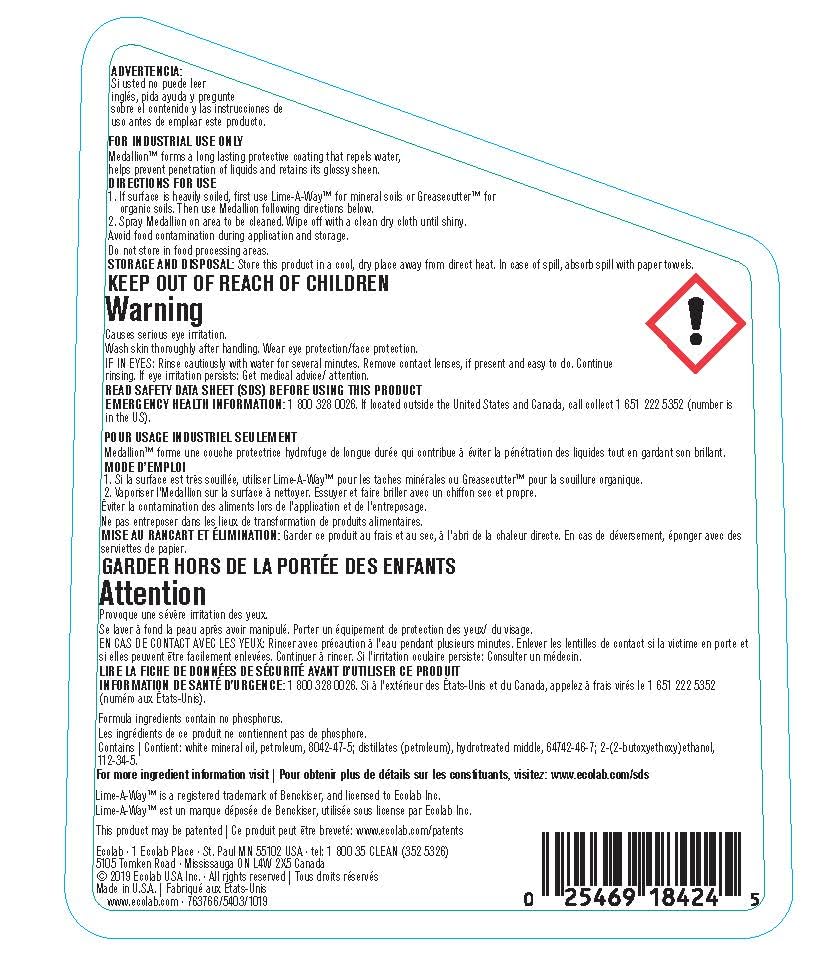 Medallion™ Stainless Steel Cleaner & Polish by Ecolab – Pack of 1, Model 6118424