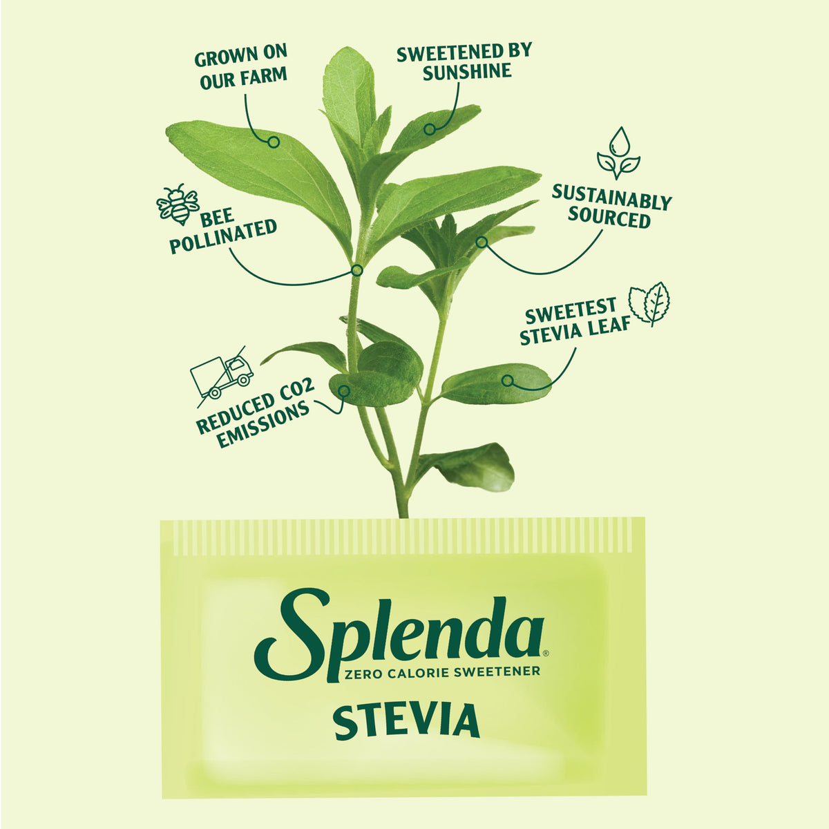 Stevia Zero Calorie Sweetener by SPLENDA – 100 Count (Pack of 2), Pack of 200, Model TL-GMLW-H1PH