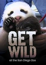 Get Wild [DVD]