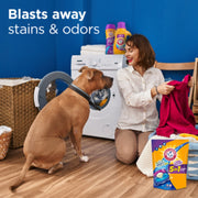 Plus Odor Blasters 5in1 42ct (4x42ct) by ARM & HAMMER – 42 Count (Pack of 4), Pack of 4, Model 10033200062827
